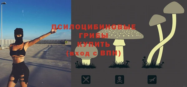гидра Балабаново