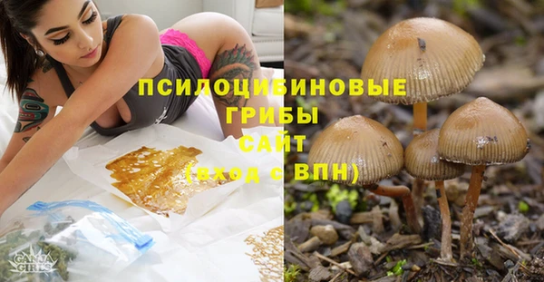 молекула духа Балахна