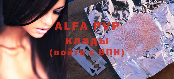 молекула духа Балахна