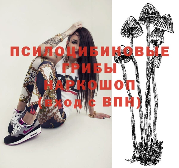 молекула духа Балахна